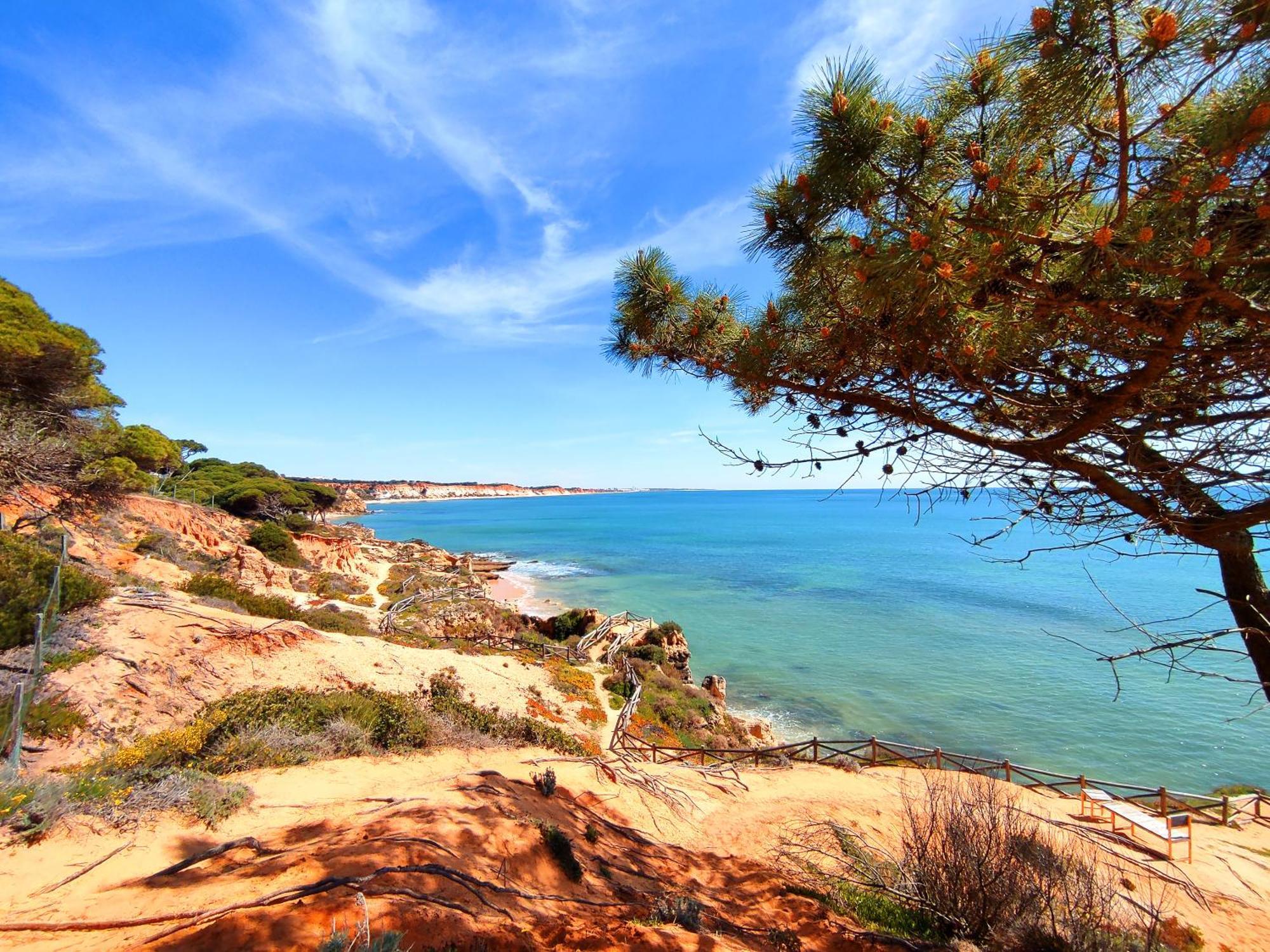 Modern Ocean, Garden & Pool View Condo By Becherish Albufeira Exteriér fotografie
